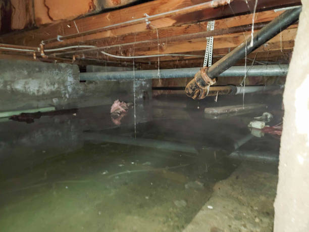 Best Water damage restoration near me  in Scottsbluff, NE