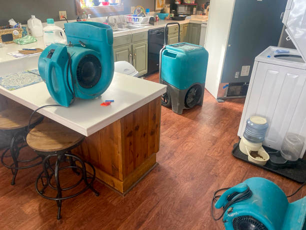 Best Water damage contractors near me  in Scottsbluff, NE