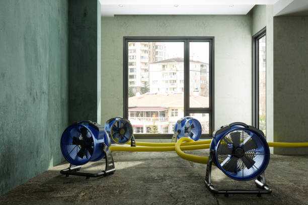 Best Water damage restoration near me  in Scottsbluff, NE